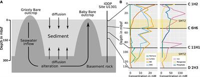 First shotgun metagenomics study of Juan de Fuca deep-sea sediments reveals distinct microbial communities above, within, between, and below sulfate methane transition zones